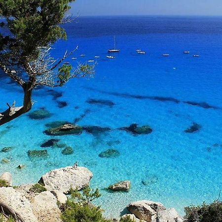 Sardinia Suite Apartment Dorgali Dış mekan fotoğraf