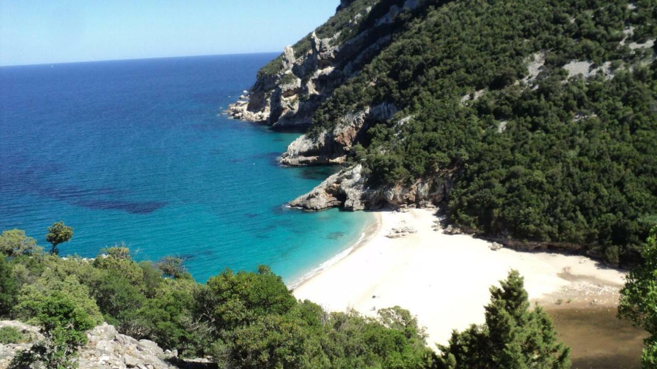 Sardinia Suite Apartment Dorgali Dış mekan fotoğraf